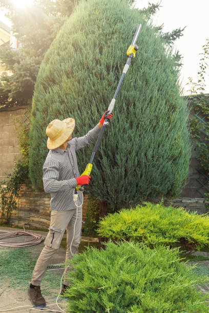 Best Commercial Tree Services  in New Richmond, WI